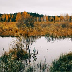 Daugava, meži un Ruģeļu tirkīzzilie ūdeņi (15 km) 3