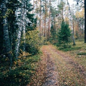Daugava, meži un Ruģeļu tirkīzzilie ūdeņi (15 km) 2