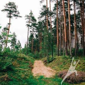 Alderu plostnieku stāstus meklējot (10 km) 0