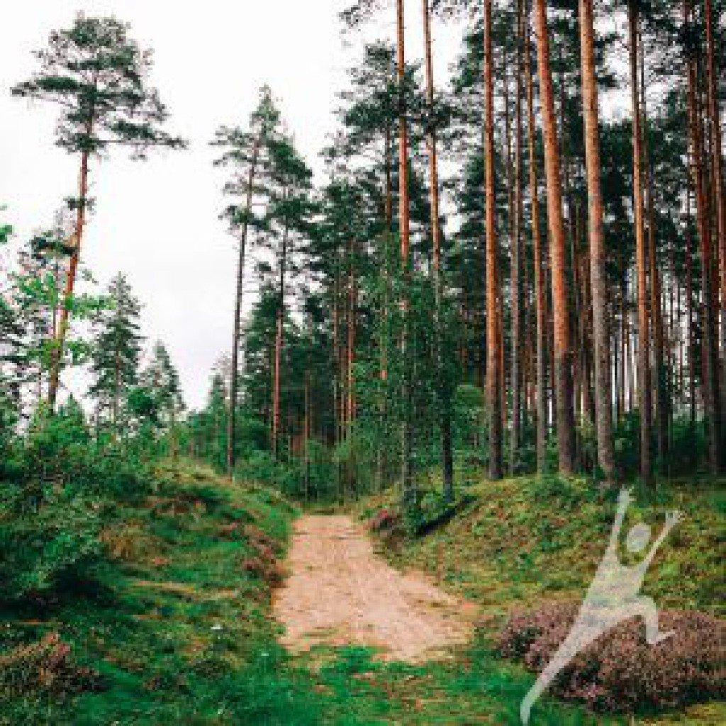 Alderu plostnieku stāstus meklējot (10 km)