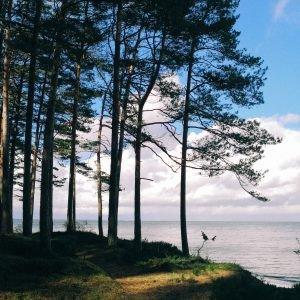 Lāčupītes dendrārija taka un pastaiga gar jūru (5 km) 0