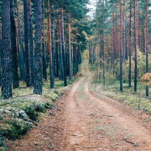 Daugava, meži un Ruģeļu tirkīzzilie ūdeņi (15 km)