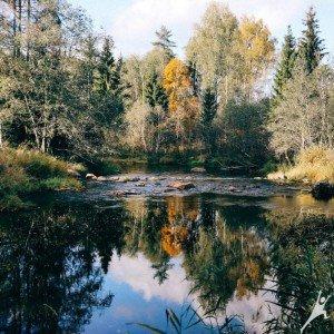 Kalni un lejas Amatas krastos un Vidzemes lauku šarms (25 km) 3