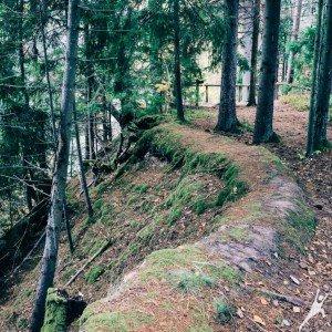 Kalni un lejas Amatas krastos un Vidzemes lauku šarms (25 km) 2