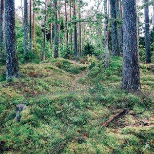 Olaines noslēpumus šķetinot (15 km) 2