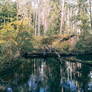 Lāčupītes dendrārija taka un pastaiga gar jūru (5 km) 3