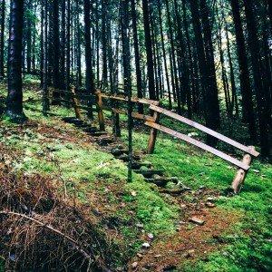 Augšup lejup no Egļukalna līdz Sventei (23 km) 1