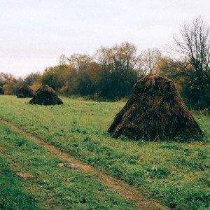 Daugava, meži un Ruģeļu tirkīzzilie ūdeņi (15 km) 1