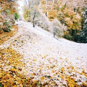 Omulīgā Subate kultūru krustcelēs (11 km) 2