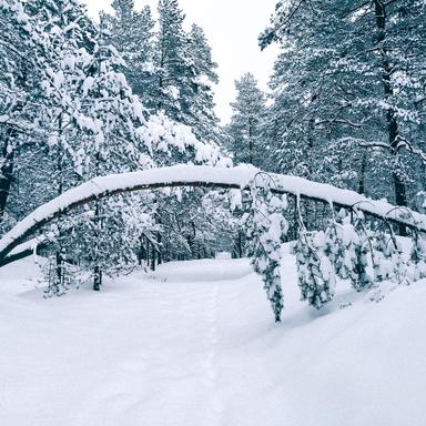 Ūdrkalns un Gulbju ezers (12 km)