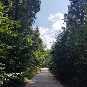 Paslēptā pērle - Rūmāles meža taka (13 km) 3