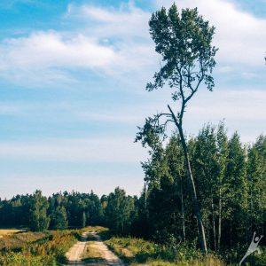 Iepazīšanās ar Jelgavu (24 km) 3